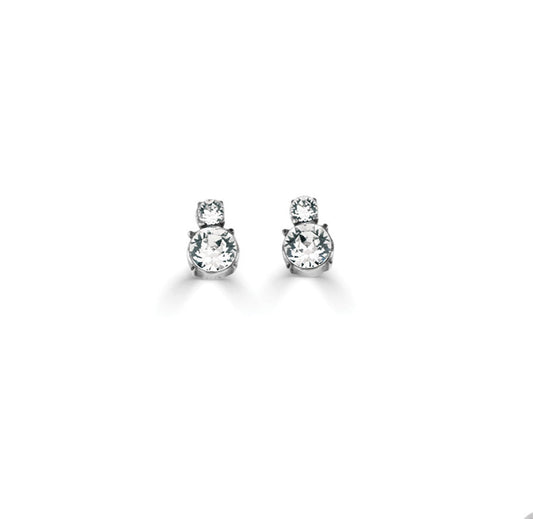 Enduring Radiance Earrings. E2805
